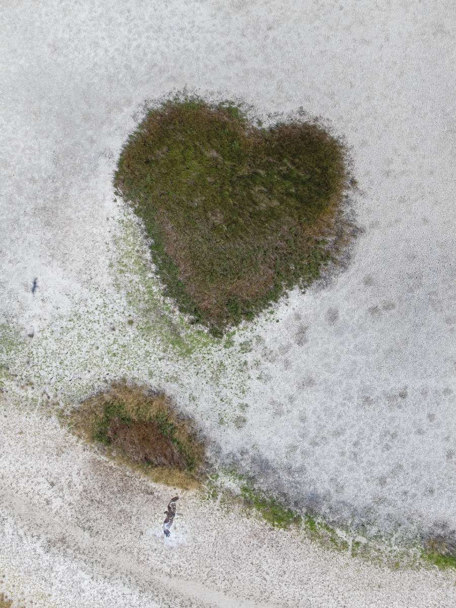 Fotó: Jakab Gusztáv