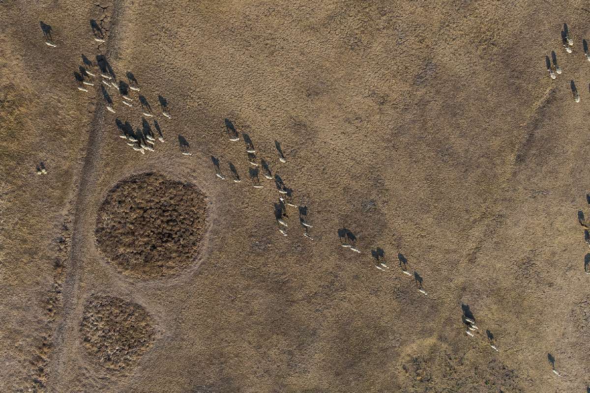 Fotó: Jakab Gusztáv