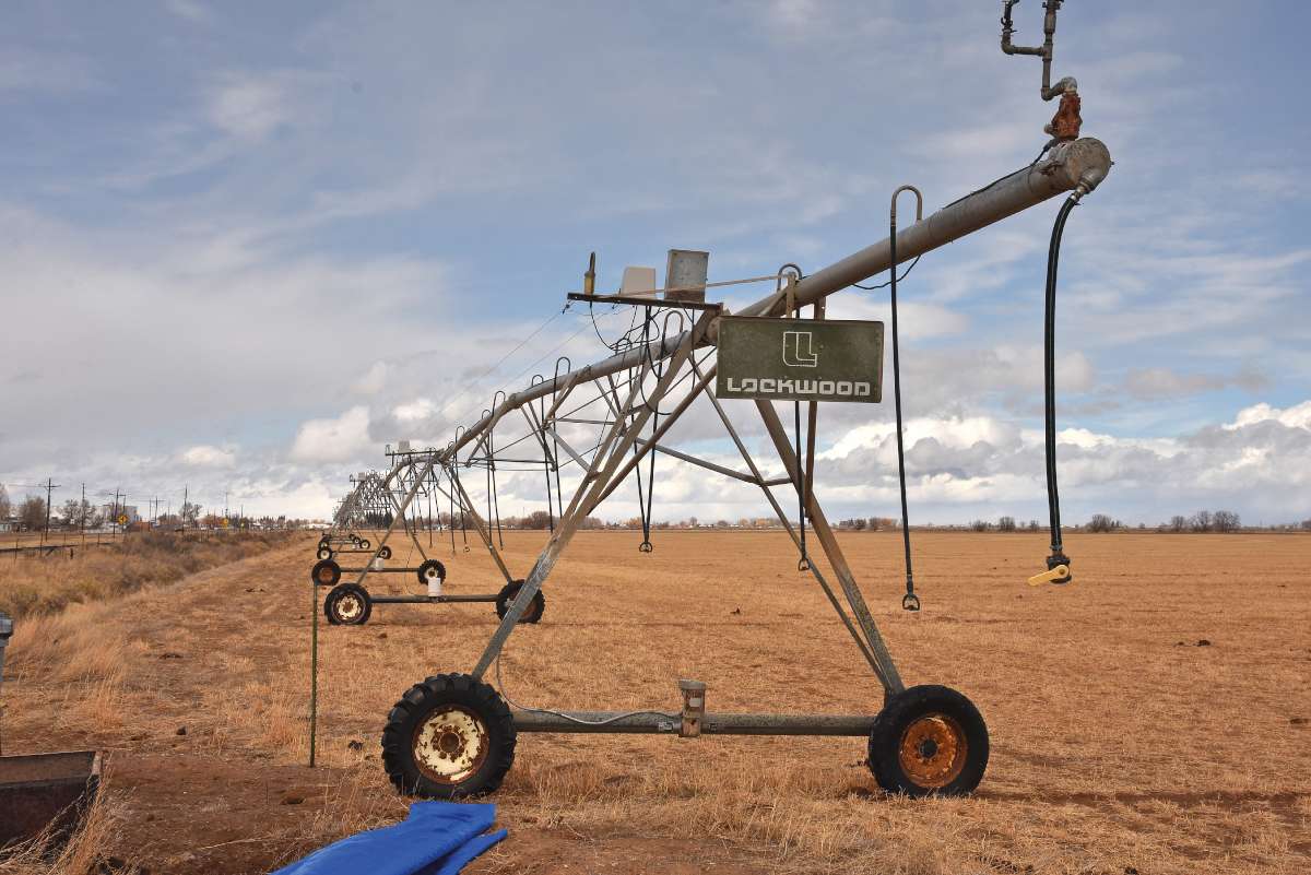 Fotó: Telbisz Tamás