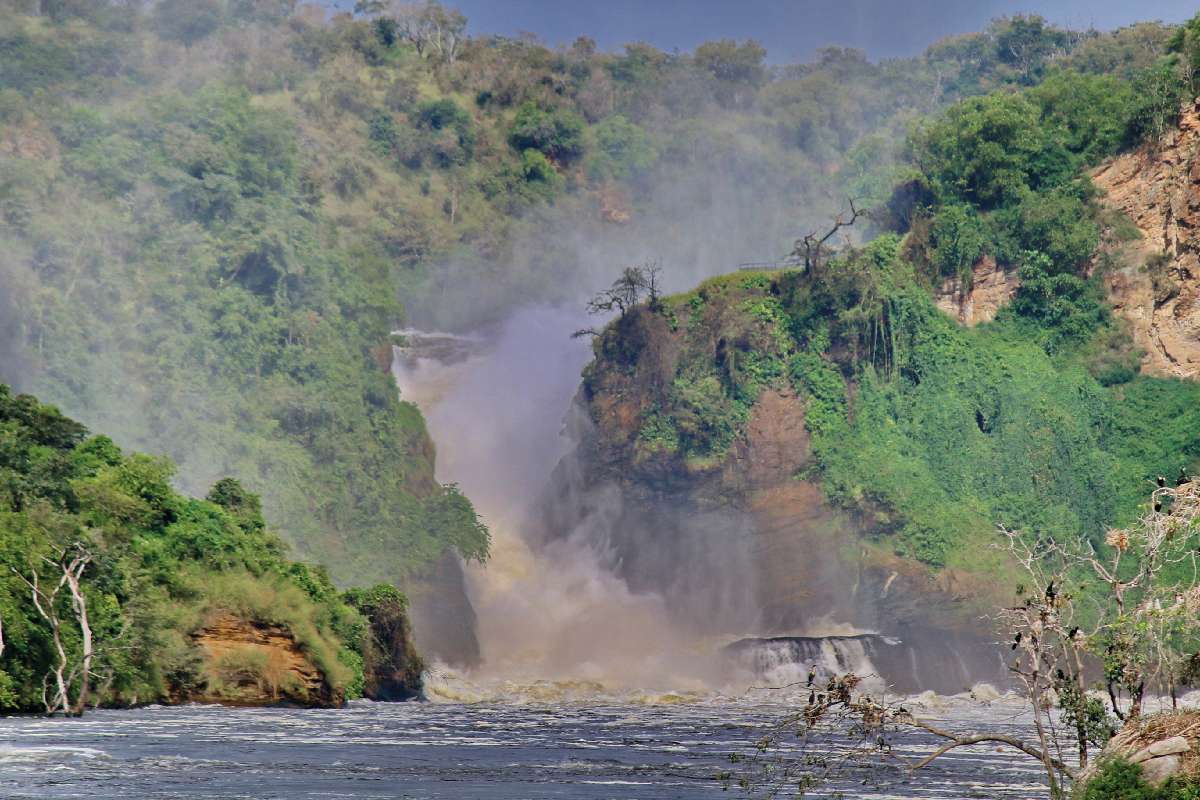Vad szépség és természeti erő – Uganda fő turistaattrakciója a Murchison Falls Nemzeti Parkban található, 43 m magas vízesés, ahol a Fehér-Nílus 50 m széles vize keresztülpréselődik egy 7 m széles hasadékon. Az óriási víztömeg hatalmas erővel és morajlással zúdul keresztül a szakadékon (300 m3/s), aminek hangját kilométerekre is hallani Fotó: Kucsera Emil