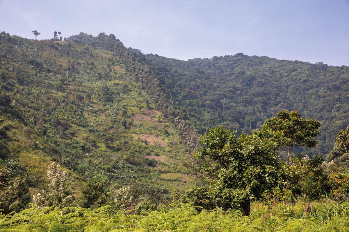 Fotó: Radics Tamás – Rada