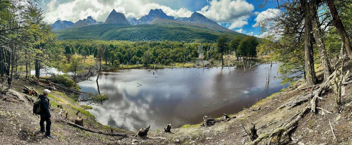 Hűvös partvidék – A Yendegaia-öböl partja és a Darwin-hegyvidék Pirámide-vonulata. A valamivel 1000 m fölött tetőző hegységből már majdnem teljesen eltűnt a felszíni jég Fotó: Nagy Balázs