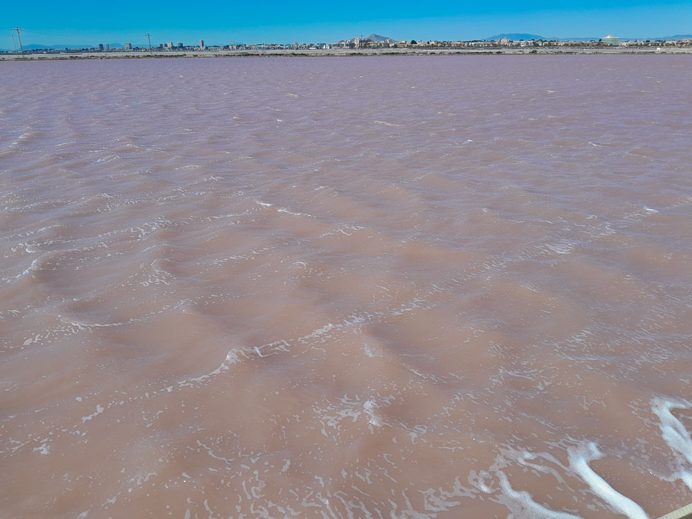 Fotó: Szigeti Ferenc Albert