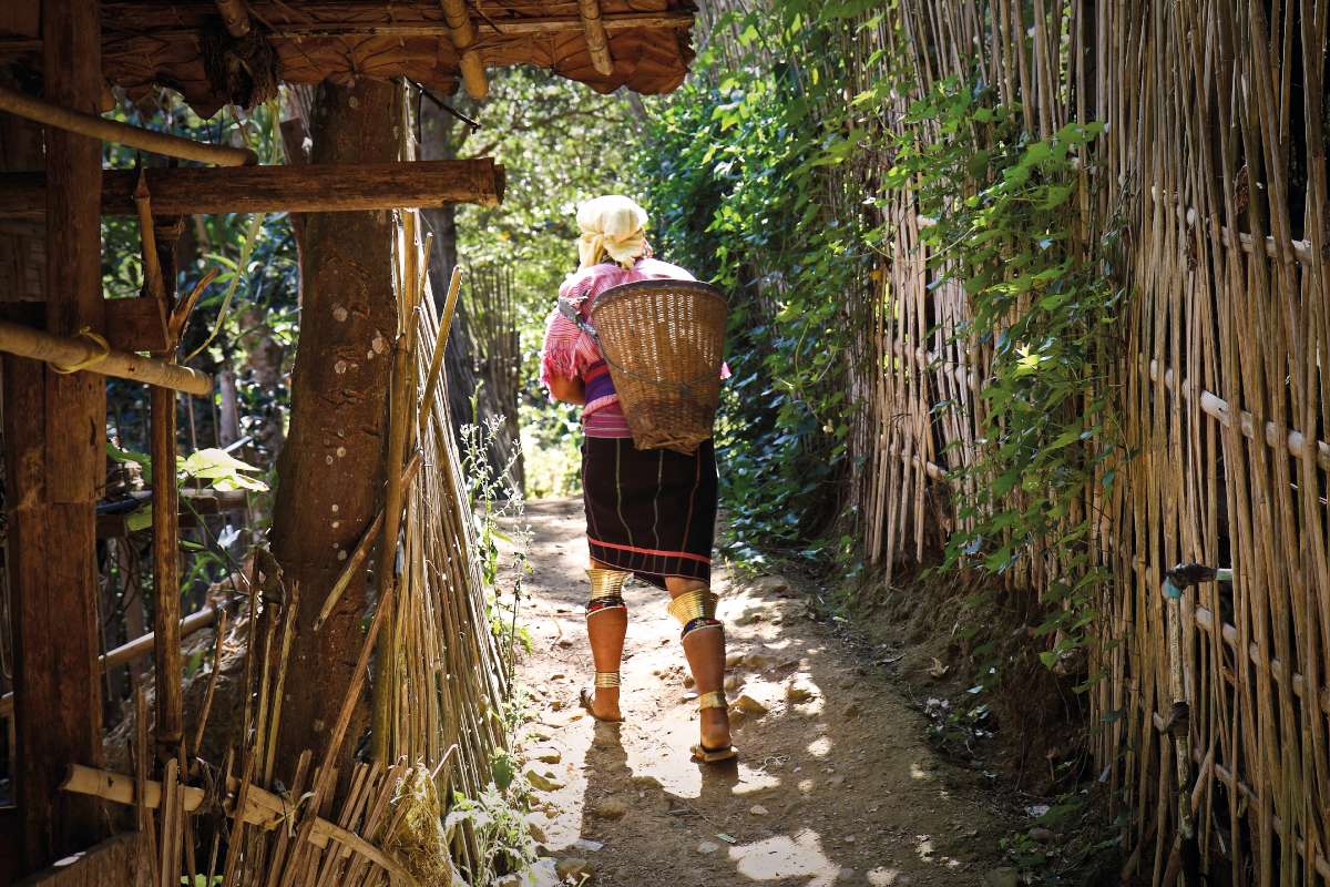 Fotó: Holzinger Géza